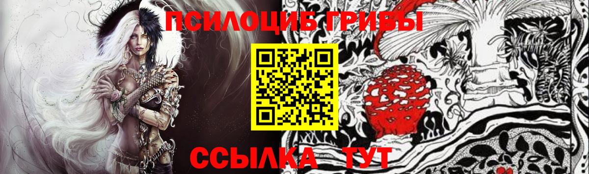 Галлюциногенные грибы прущие грибы  Вход с VPN  Елец  Галлюциногенные грибы Cubensis 